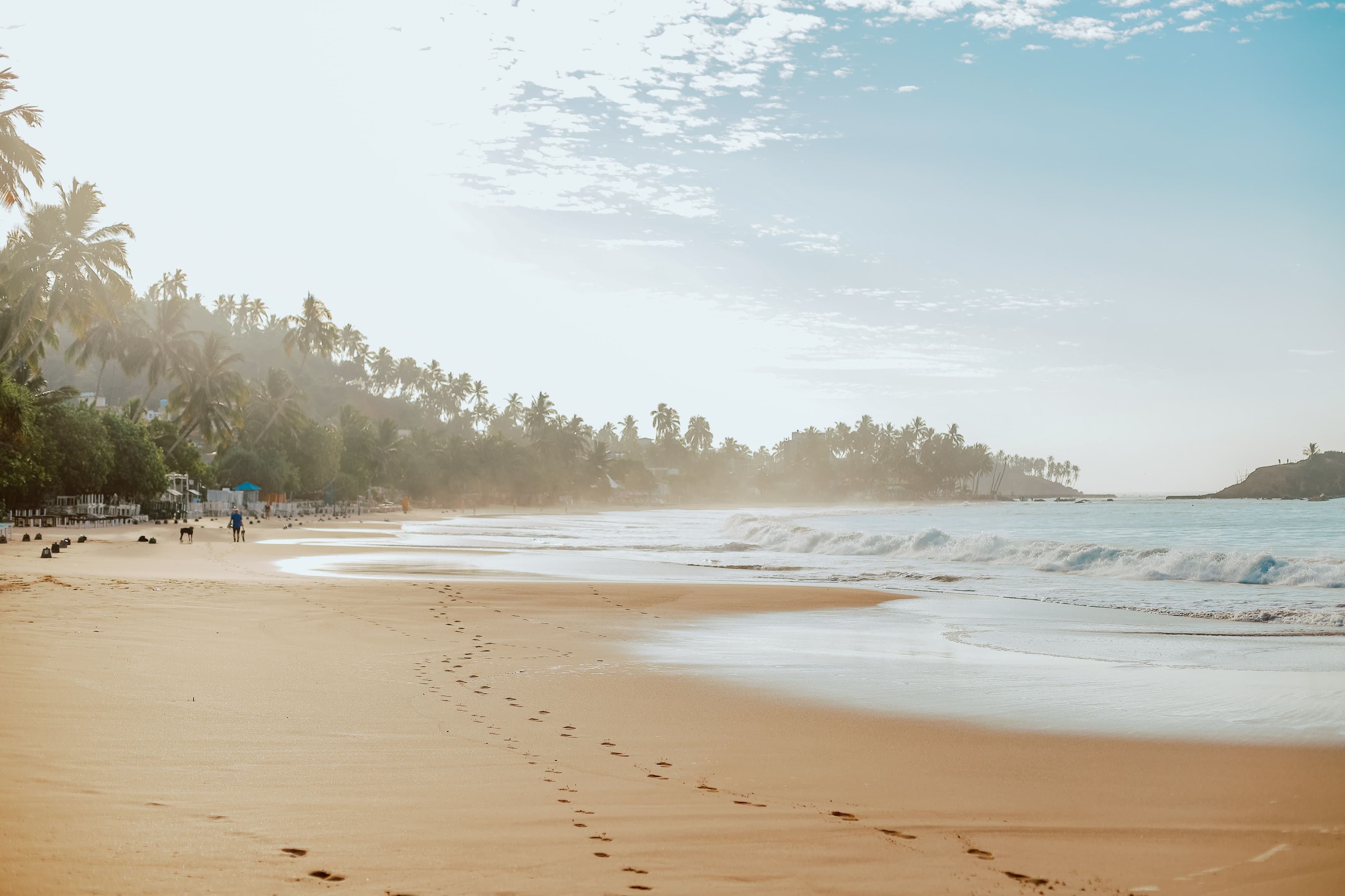 Mirissa Beach, golden crescent of sand with coconut palms, Indian Ocean